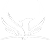 Белый логотип центра гимнастики Феникс